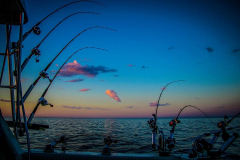 lake_michigan_fishing_report_012