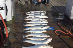 port-washington-fishing-charters-023