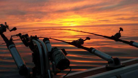 Charter Fishing Captains on Lake Michigan